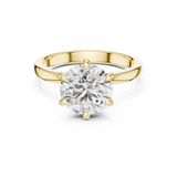 Charlotte Ring